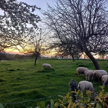 Pour 13 Pers Avec Babyfoot Et Cheminee - Fr-1-497-209 *