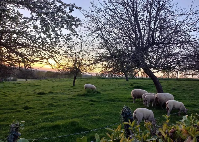 Pour 13 Pers Avec Babyfoot Et Cheminée - Fr-1-497-209 *
